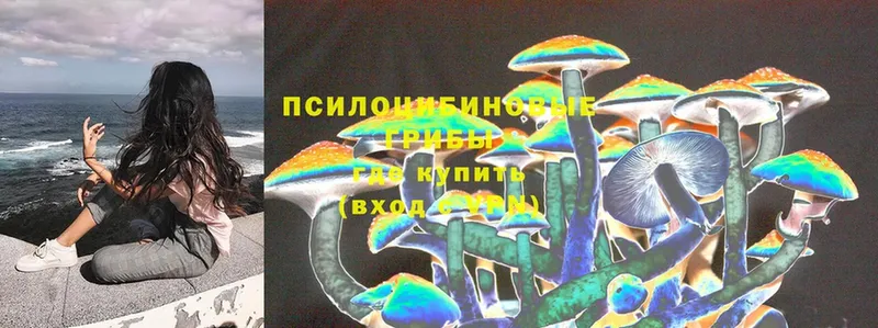 блэк спрут ТОР  Адыгейск  Псилоцибиновые грибы MAGIC MUSHROOMS 